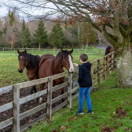 Holiday home Sun Hill Palins Leyburn
