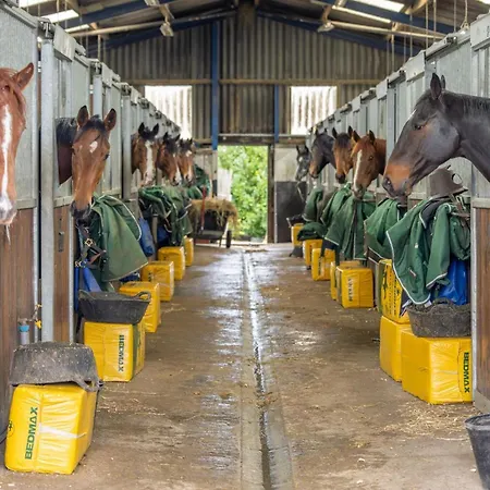 Sun Hill Palins * Leyburn